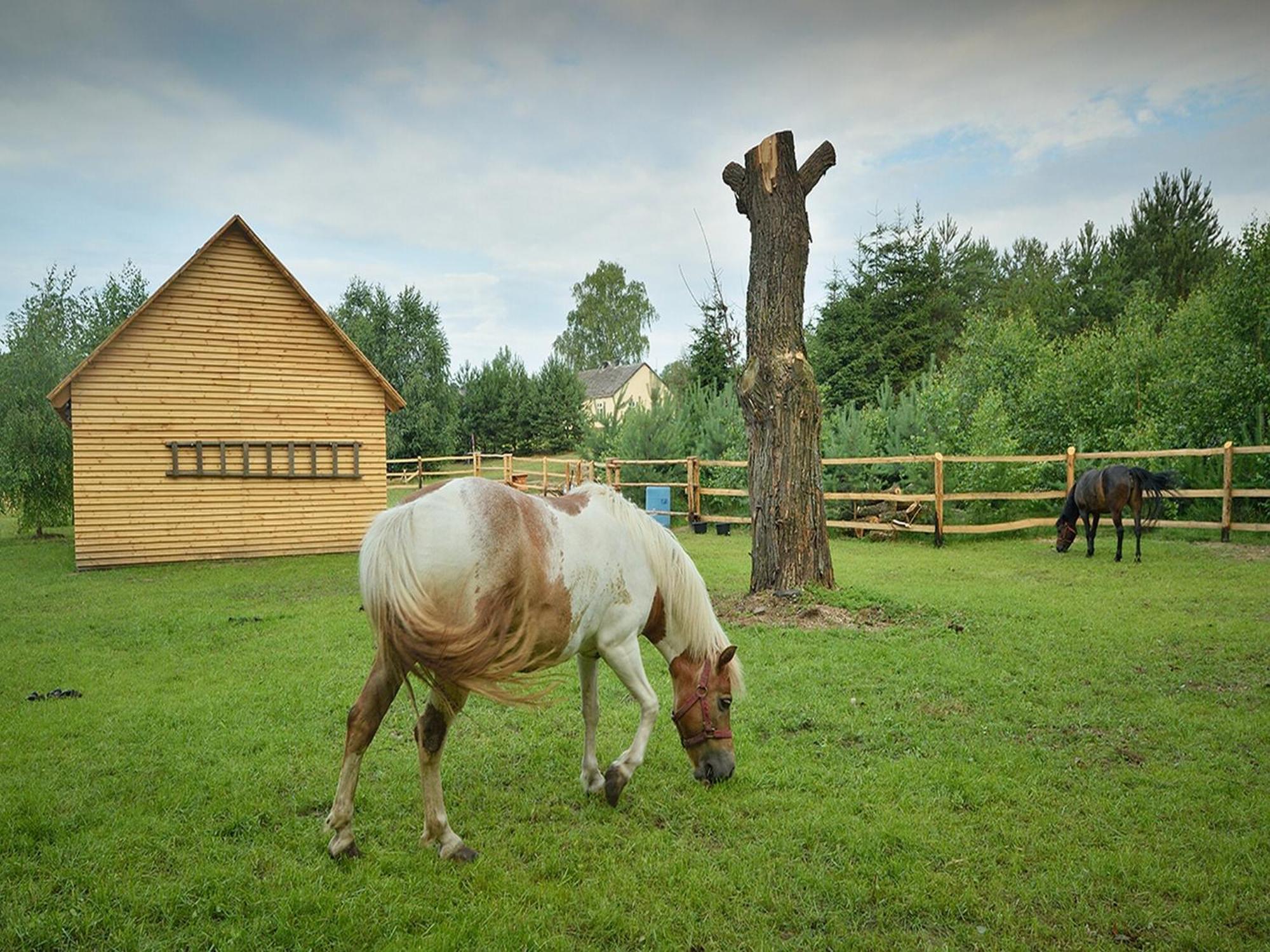Wooden Holiday Home In Skrzynia With Terrace Osiek  ภายนอก รูปภาพ