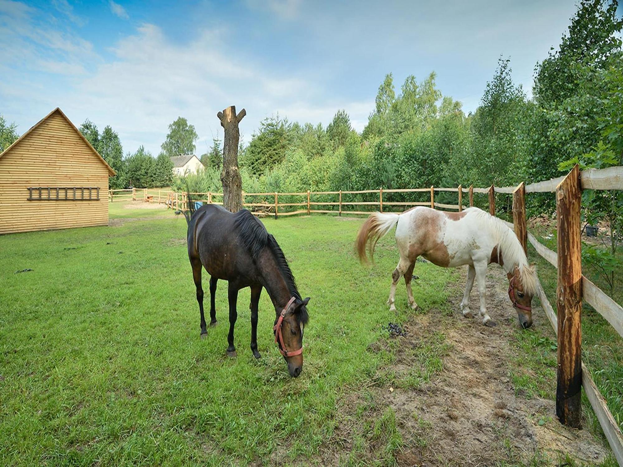 Wooden Holiday Home In Skrzynia With Terrace Osiek  ภายนอก รูปภาพ