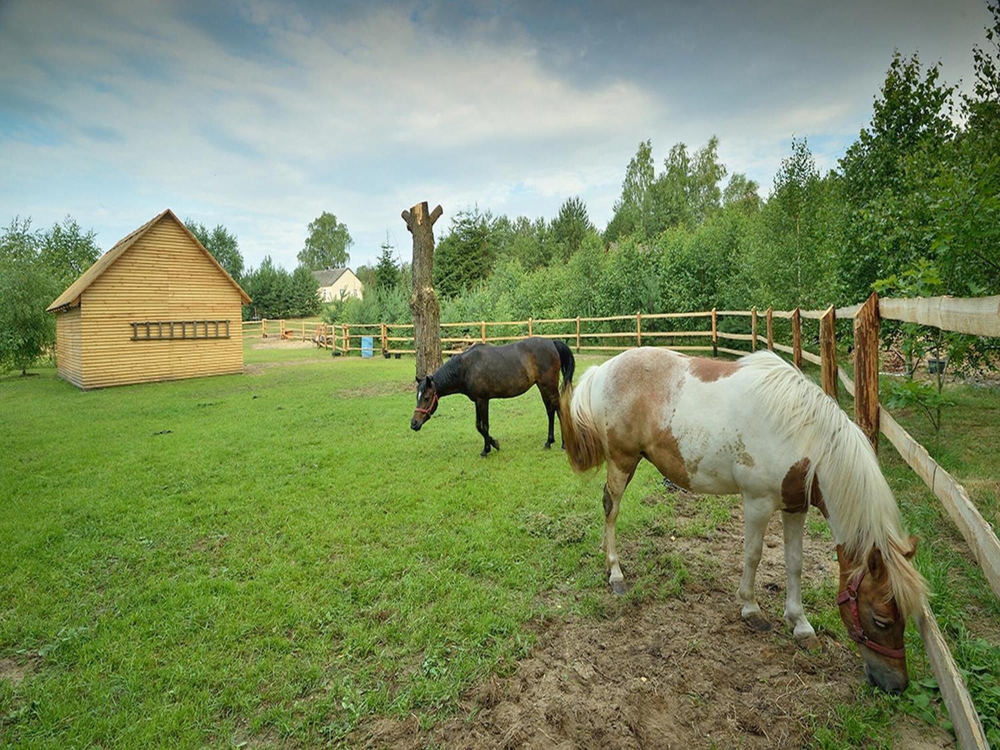 Wooden Holiday Home In Skrzynia With Terrace Osiek  ภายนอก รูปภาพ